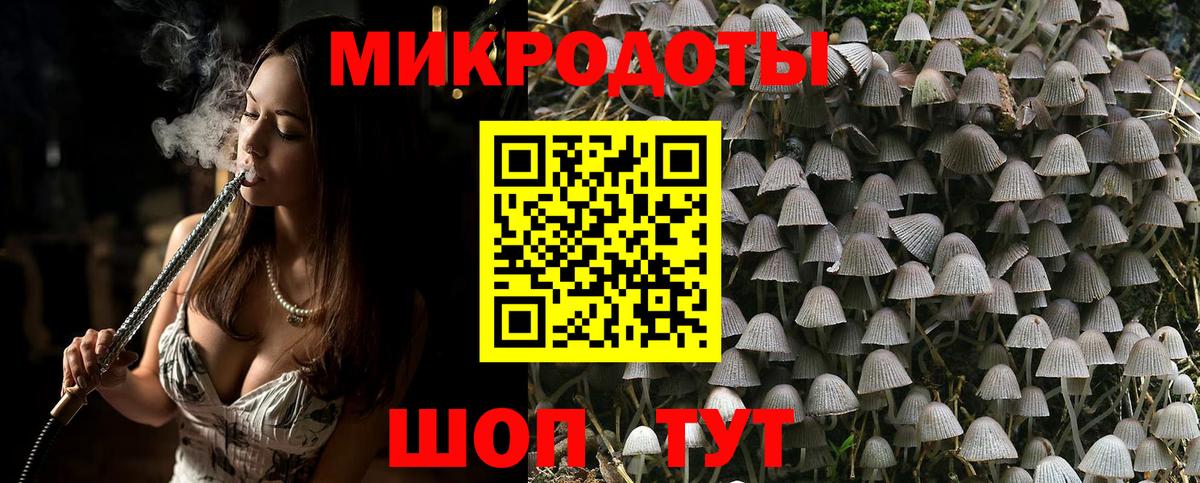 Псилоцибиновые грибы мухоморы Губаха