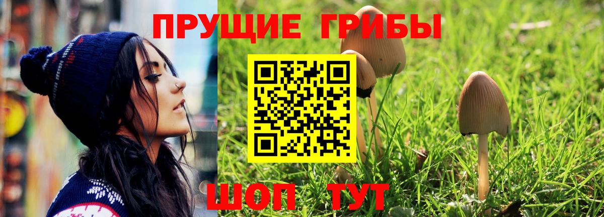 Галлюциногенные грибы Psilocybine cubensis  Вход с VPN  Галлюциногенные грибы MAGIC MUSHROOMS  продажа наркотиков  Губаха 